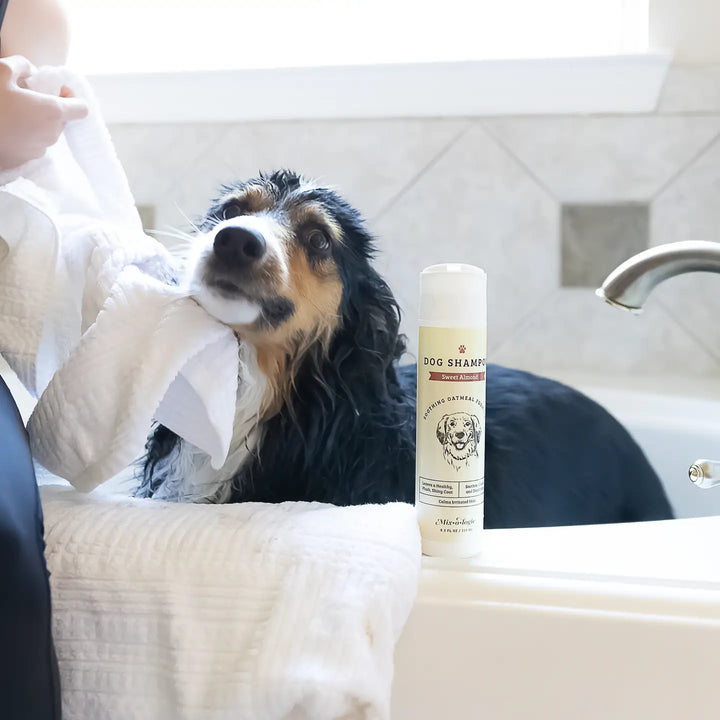 Sweet Almond | Soothing Dog Shampoo