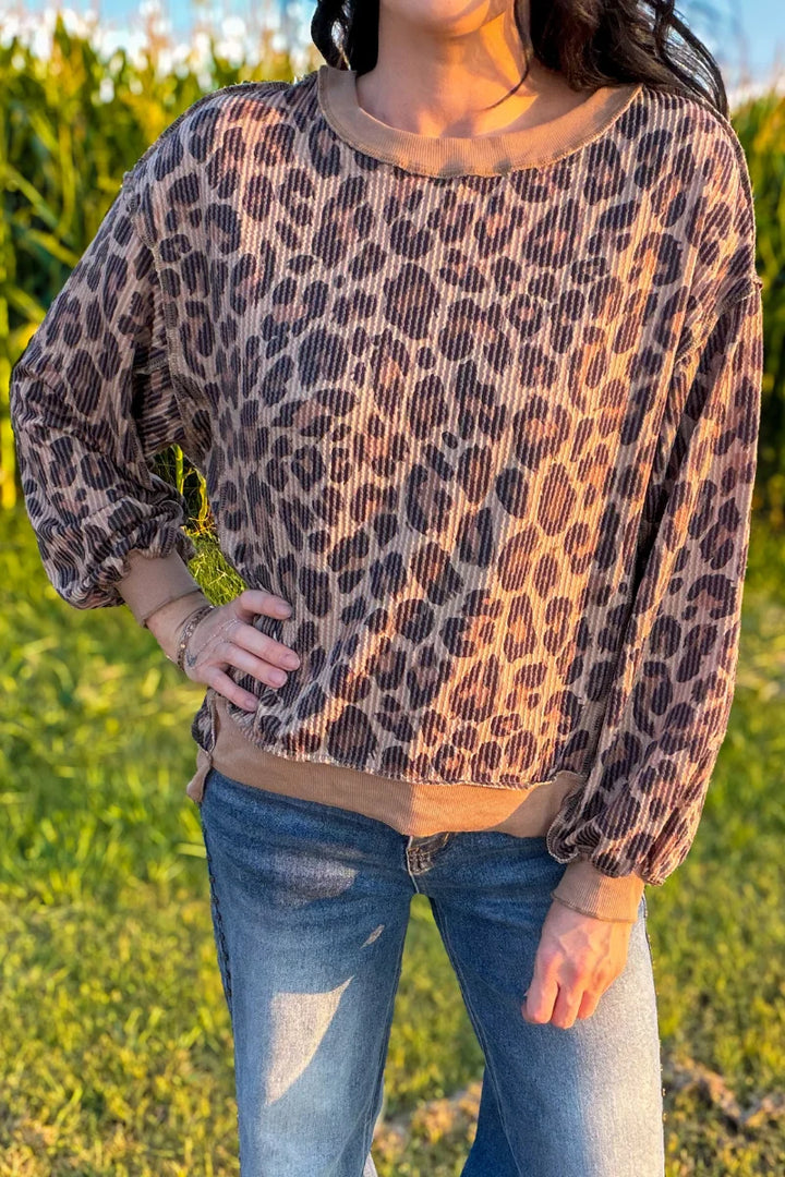 Spotted Wild Leopard Pullover by Sterling Kreek