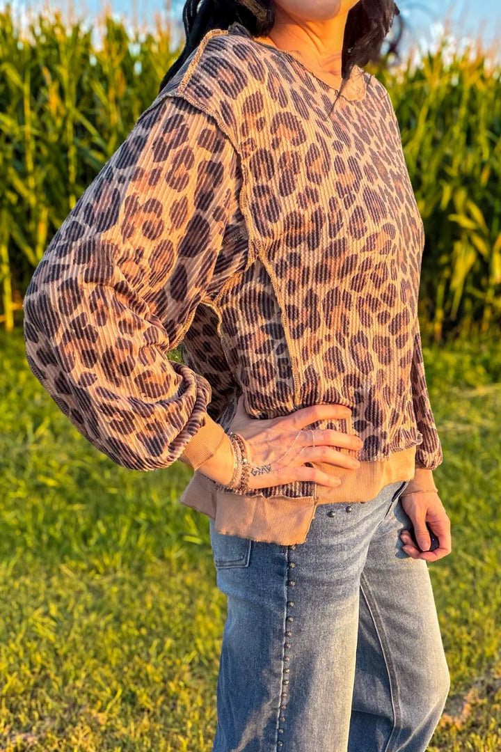 Spotted Wild Leopard Pullover by Sterling Kreek
