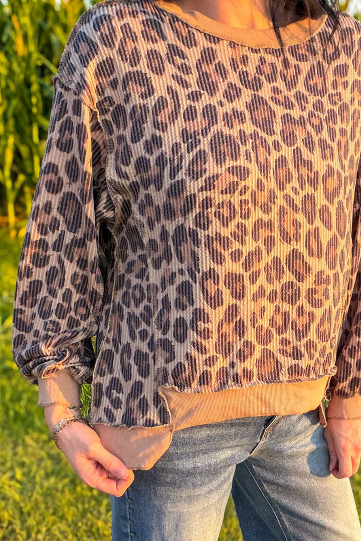 Spotted Wild Leopard Pullover by Sterling Kreek
